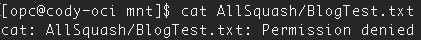 other cannot read in /AllSquash