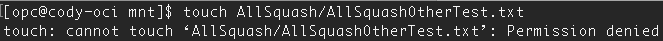 other cannot write in /AllSquash