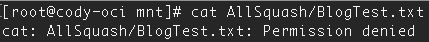 root cannot read in /AllSquash