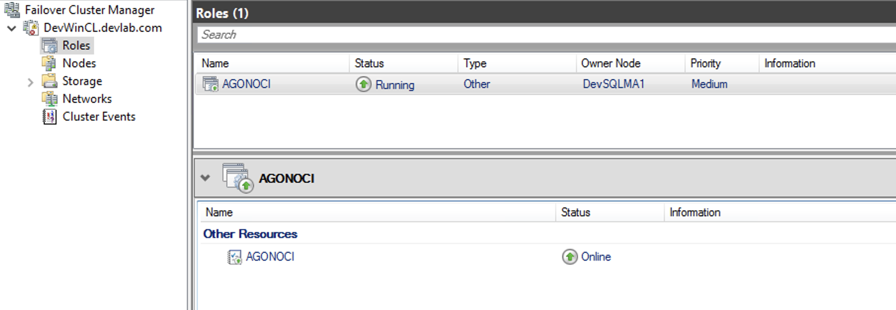 A screenshot of the Failover Cluster Manager showing the created availability groups.