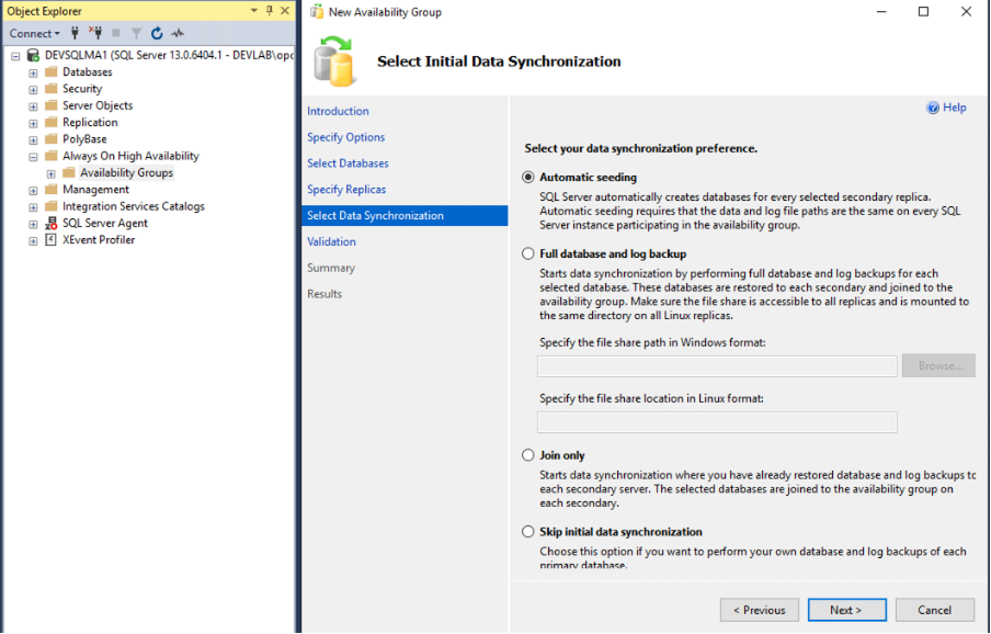 A screenshot of the Select Data Synchronization with the option for automatic seeding selected.