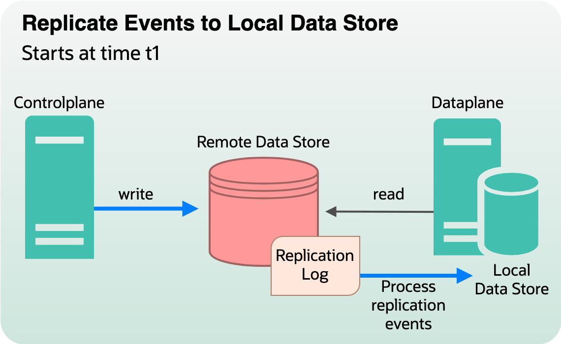 Process of intercepting writes and replicating to data plane local store