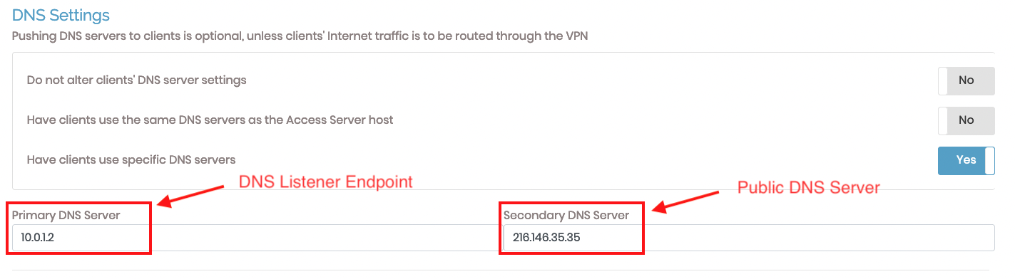 A screenshot of the DNS settings for configuring OpenVPN with the DNS listener endpoint and public DNS service outlined in red.