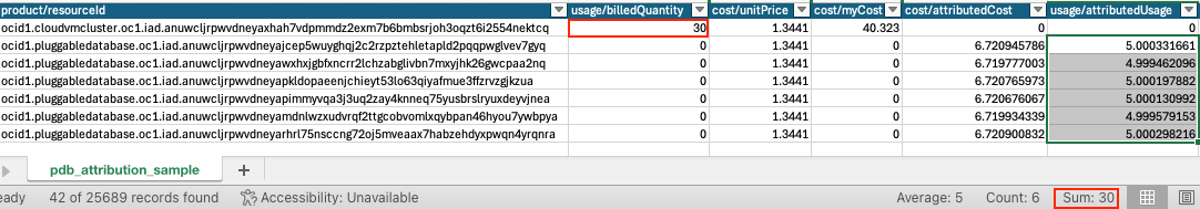 Cost report snippet for VM Cluster with PDBs