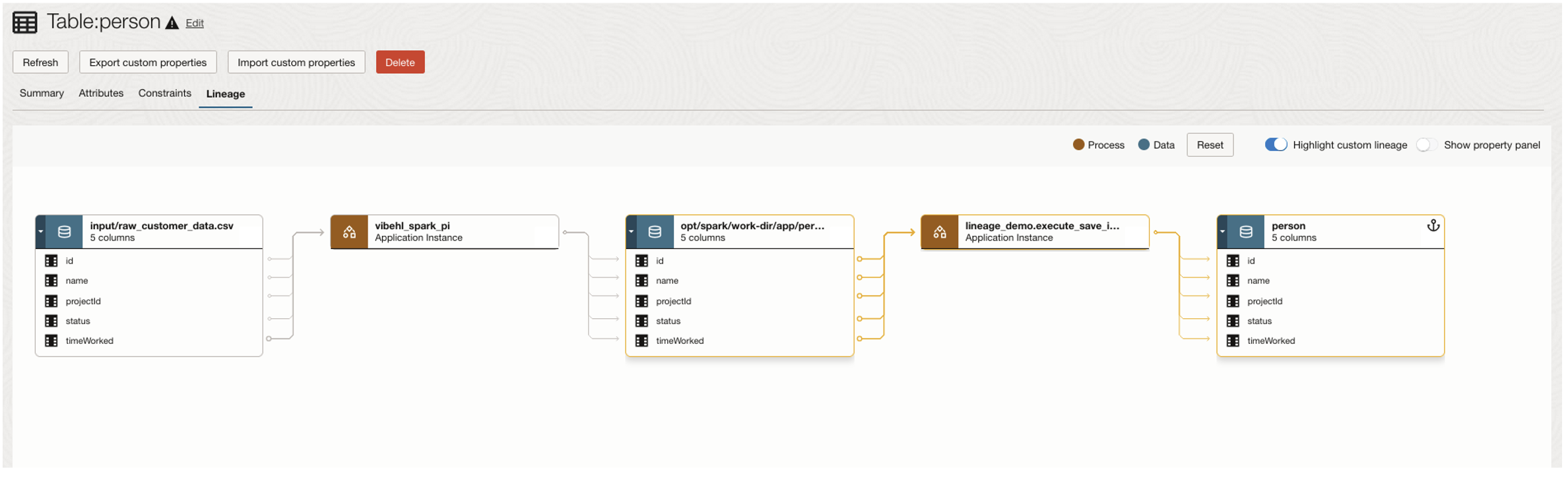 Lineage graph with a custom lineage