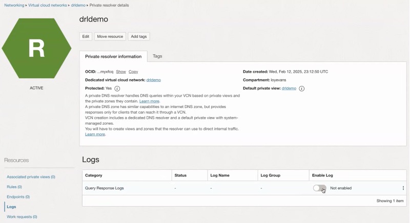 Enabling DNS Response Logging