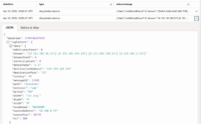 Sample DNS response log record