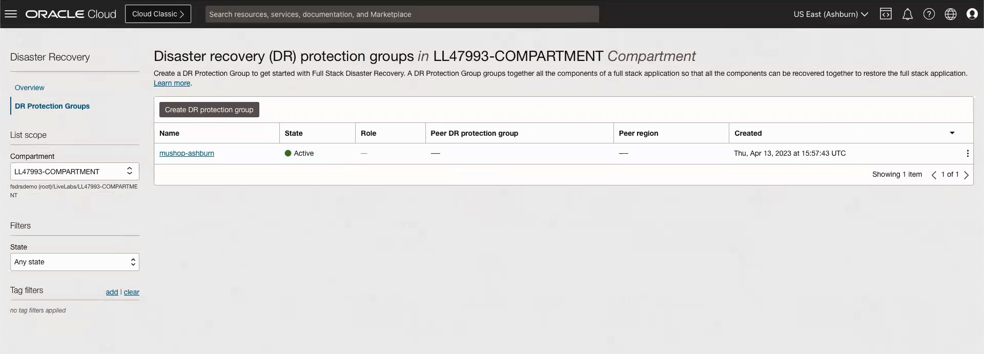A screenshot of the disaster recovery protection group in the compartment in the primary region int he Oracle Cloud Console.