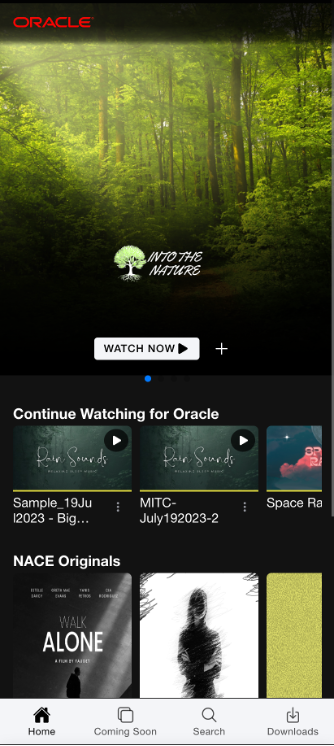 Example end-user app.