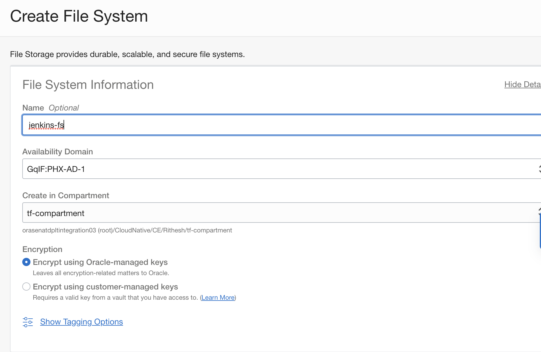 A screenshot of the Create File System page with fields filled in.