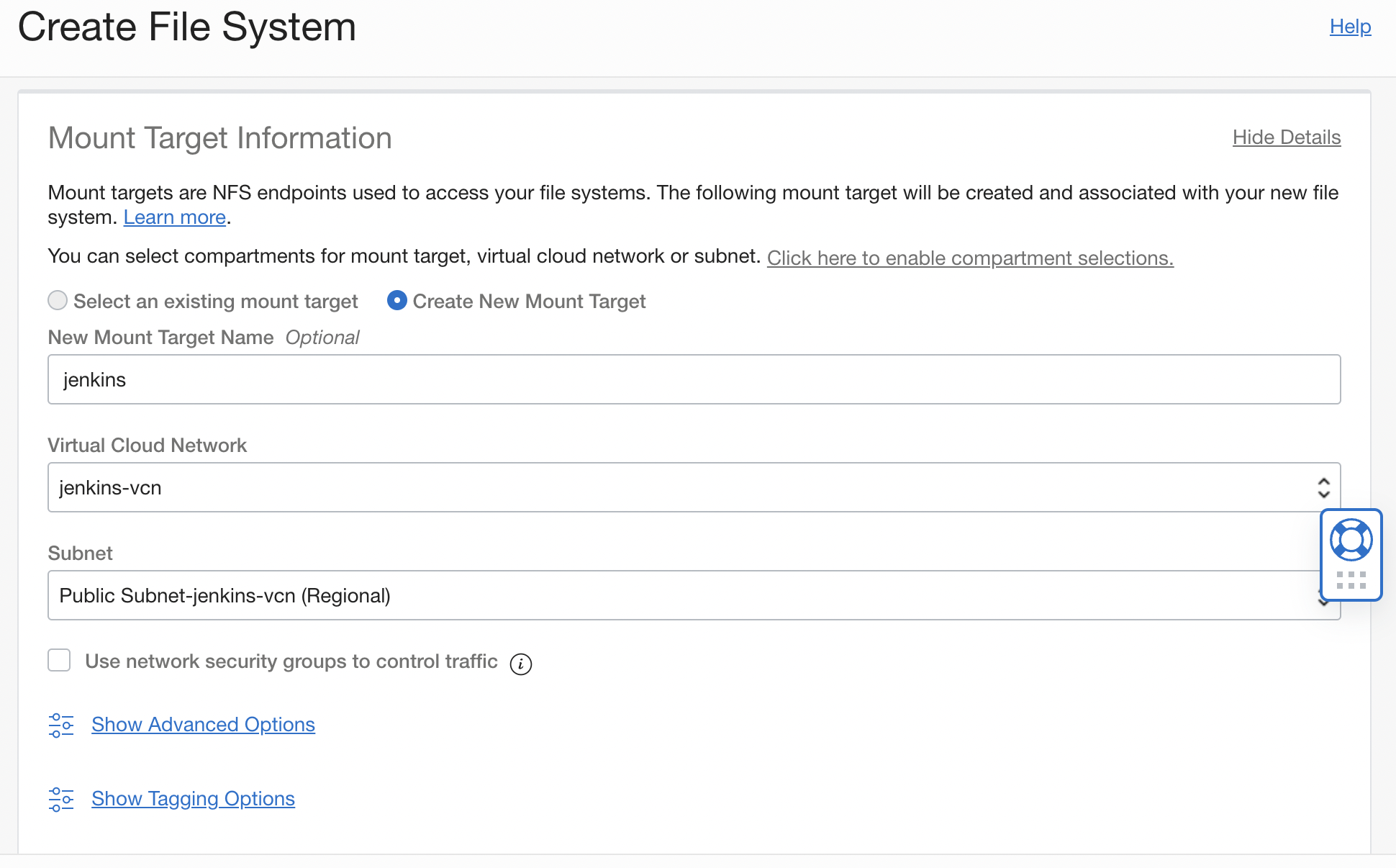 A screenshot of the Create File System page showing the mount target information.