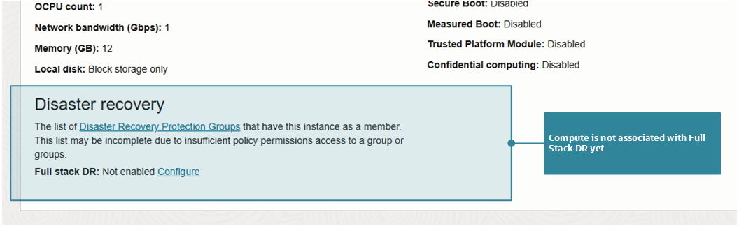 Figure 7: The resource details in this case show the instance is not a member of a Full Stack DR Protection Group.
