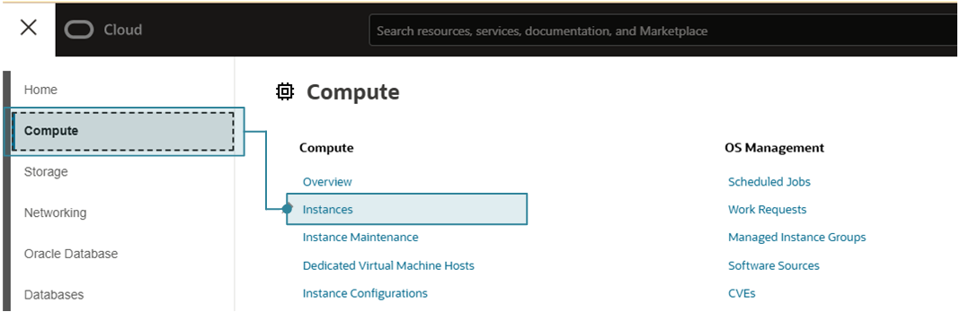 Figure 5: This shows the OCI console link used to navigate to the resource list page for Compute.