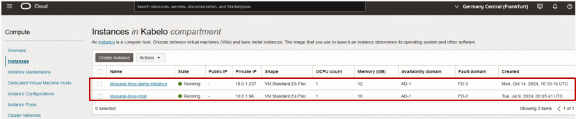 Figure 13 - Instances shown with hostnames displayed instead of OCID