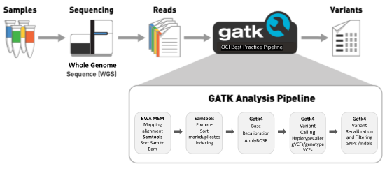 Figure 1. GATK4 Germline best practice pipeline on OCI. This figure is modified from the Broad Institute blog.