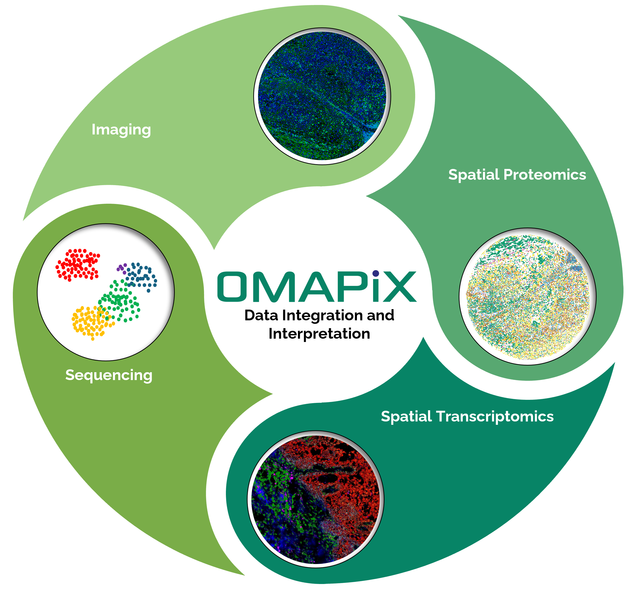 Integration with OMAPiX
