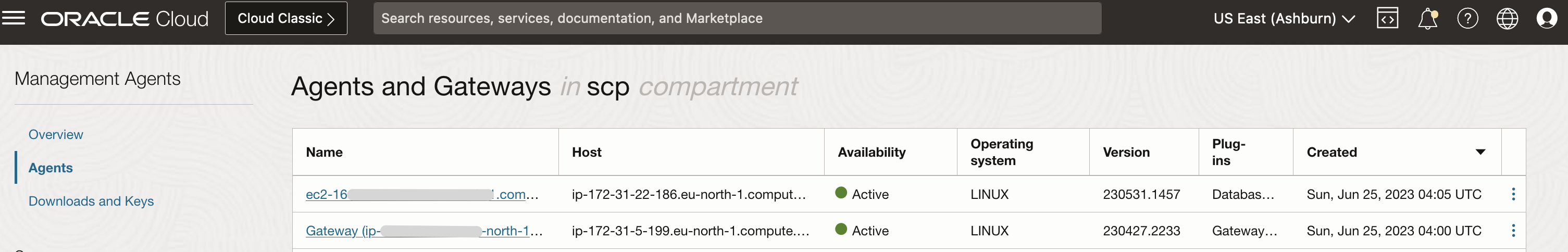 Management Agent list on O&M