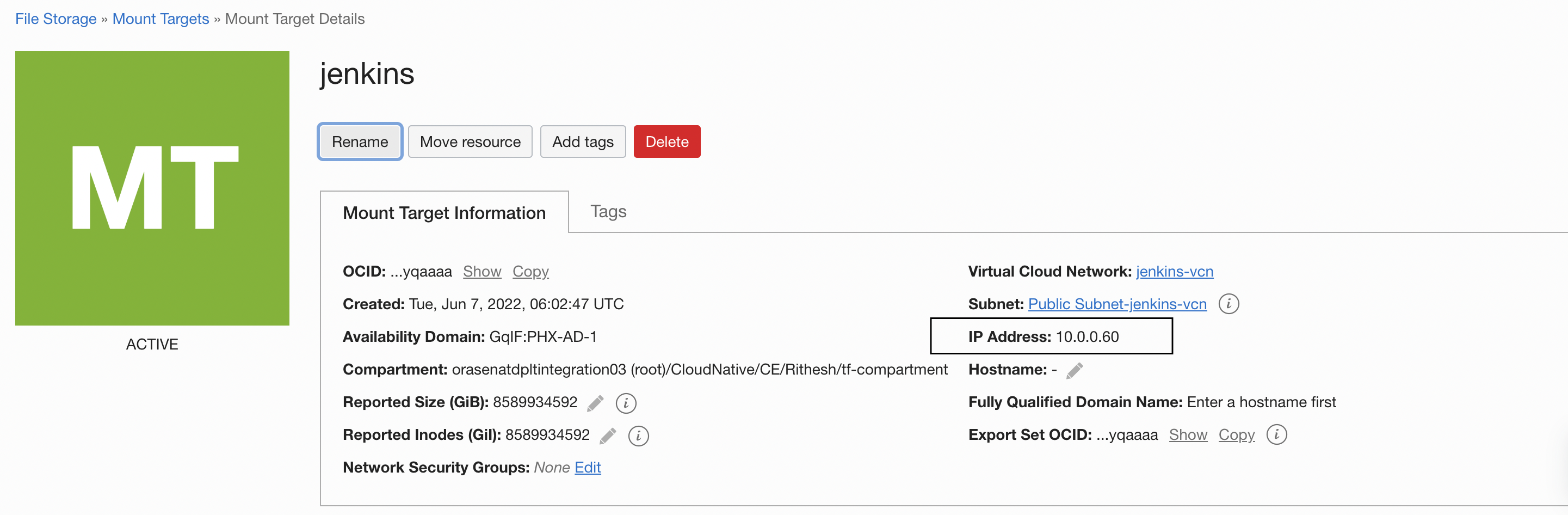 A screenshot of the Mount Target Details page with the Rename button highlighted in blue and the IP Address outlined in grey.