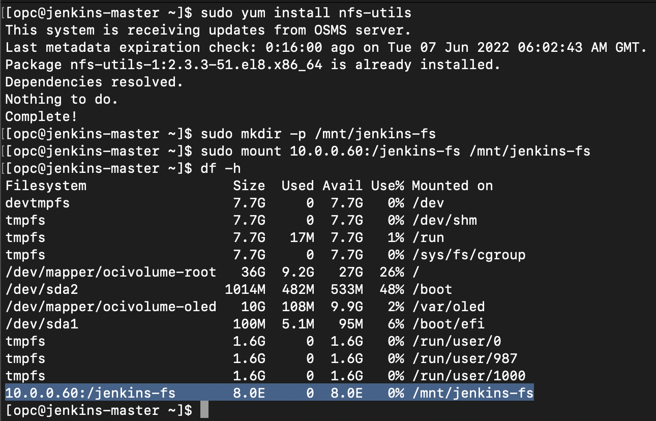 A screenshot of the code output for the mounting commands with the line showing the IP address highlighted in blue.