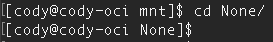 A screenshot of the output showing that cody can run in /None