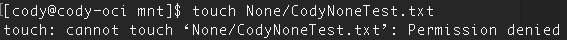 A screenshot of the output showing that cody can't write in /None