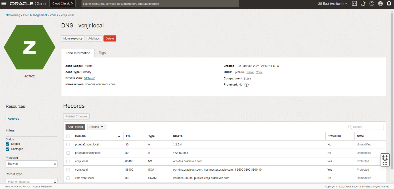 Figure 3: OCI DNS private zone