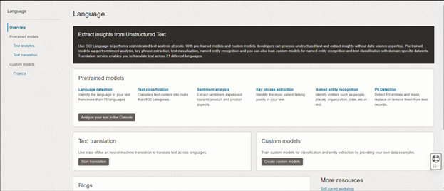 OCI Language service features in the Console