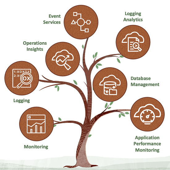 OCI O&M professional certification