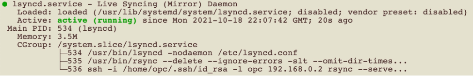 A screenshot of the active running status code block.