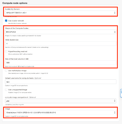 A screenshot of the Compute Node Options screen with relevant sections outlined in red.