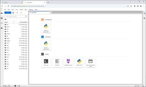 Running a Jupyter notebook with options in a workspace