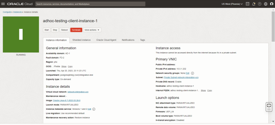 A screenshot of the Instance Details page in the Console, showing the Information panel for the instance.