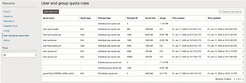 Quota usage view showing both user level and file system level