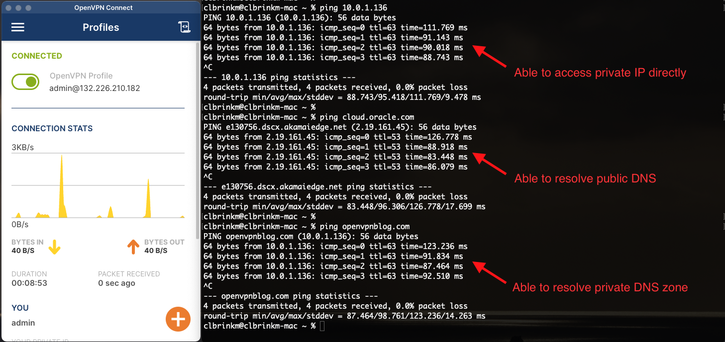 A screenshot of the results after configuring OpenVPN with red arrows pointing to the lines of code showing that you're able to resolve the public and private DNS zones.