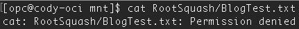 other cannot read in /RootSquash