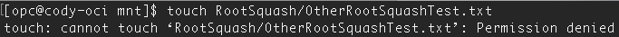 other cannot write in /RootSquash
