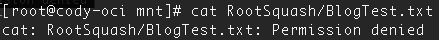 root cannot read in /RootSquash