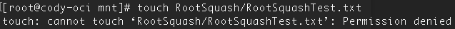 root cannot write in /RootSquash