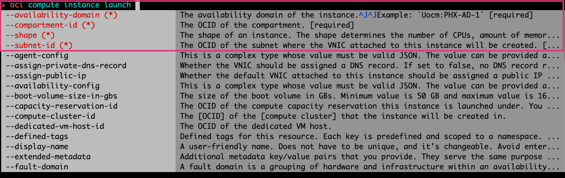 A screenshot of the command line interface showing the required and optional parameters for deploying a Compute instance.
