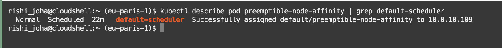 A screenshot of the output for setting up preemptible instances.