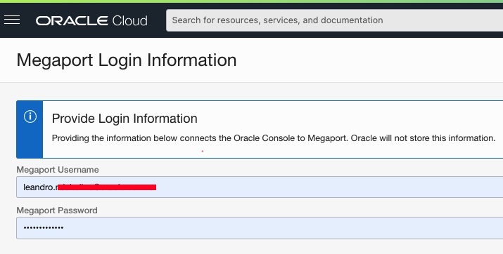 A screenshot of the Megaport Login Information page.
