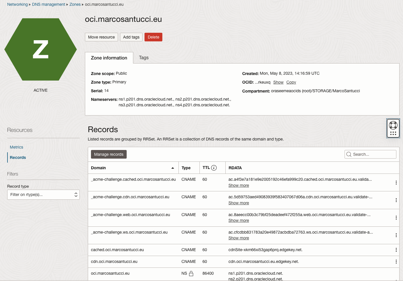 A screenshot of the updated details page for the zone, showing the listed records.