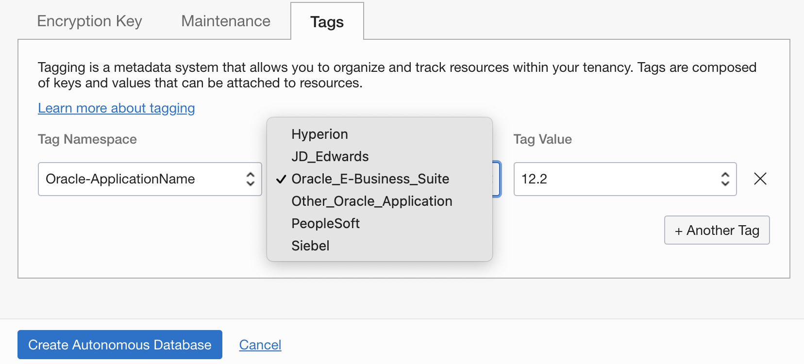 Image showing simplicity of picking and applying tags to resources