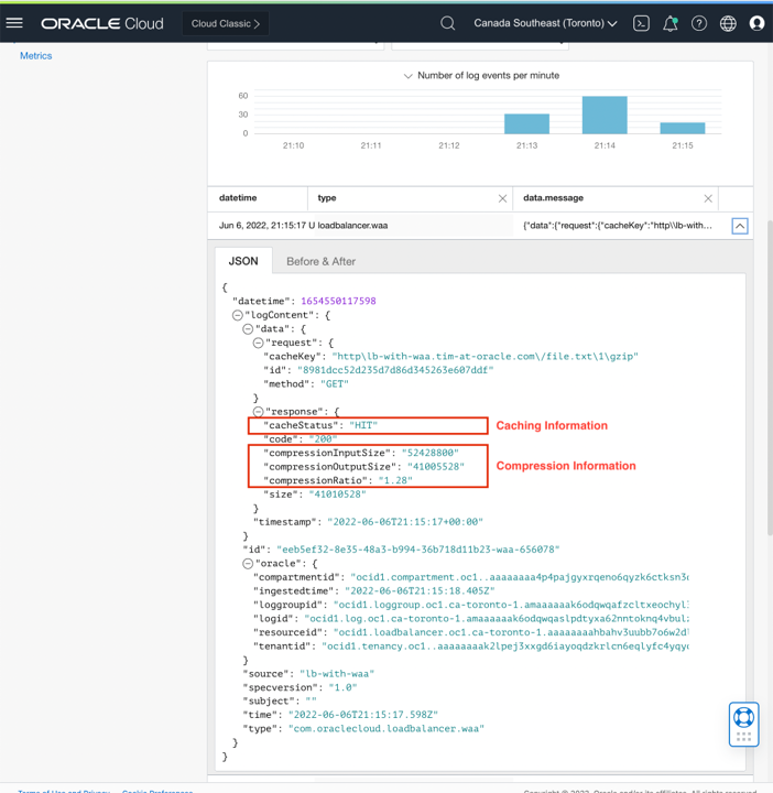 A screenshot of the JSON file showing the number of log events per minute with the caching and compression information outlined in red.