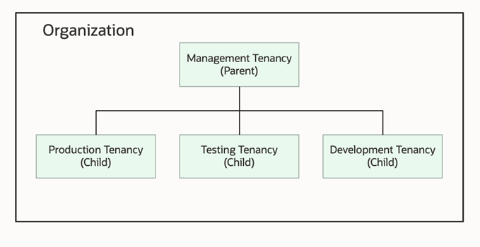 Organization Diagram