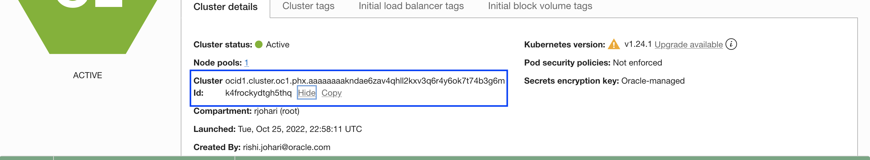 A screenshot of the Cluster Details tab in the showing with the OKE Cluster OCID outlined in blue.