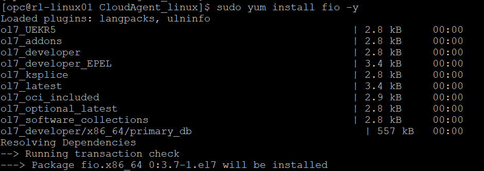 A screenshot of FIO installed and running in the Console.