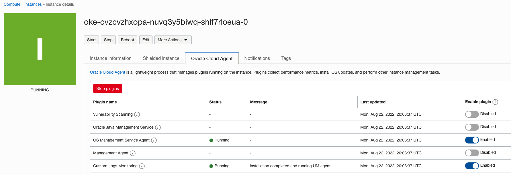 A screenshot of the Instance Details page, showing the custom logs compute agents.
