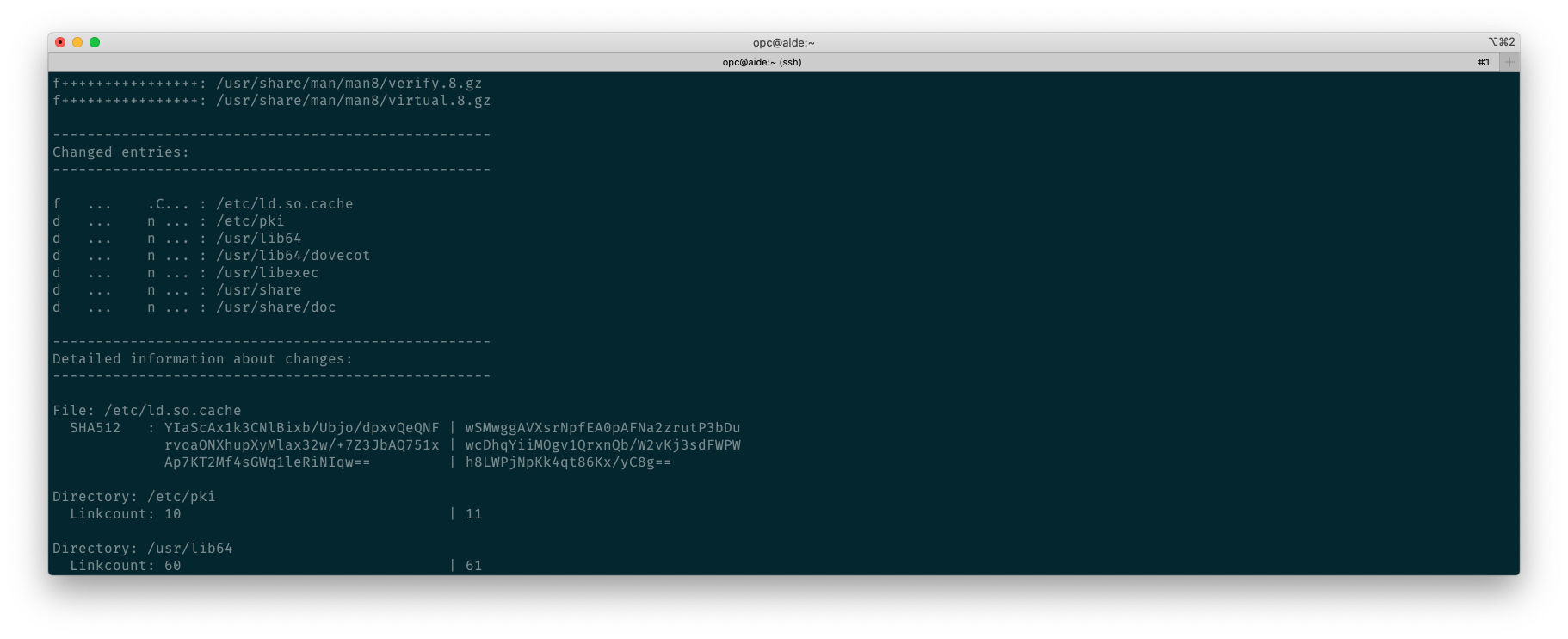 A screenshot of the output showing detailed information about changes.