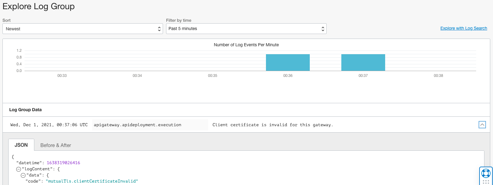 A screenshot of the Explore Log Group screen.